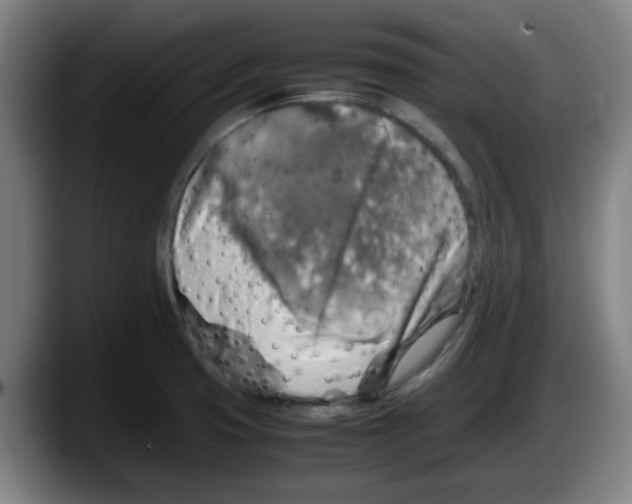 X0000087601425200705251913