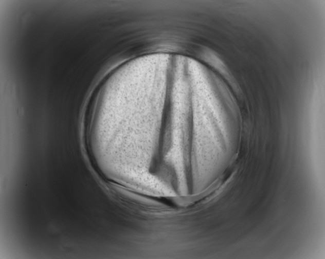 X0000087601426200705251913