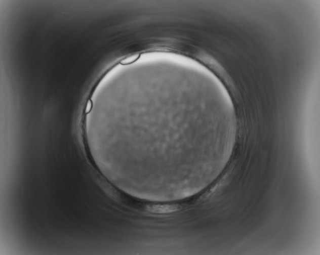 X0000087601427200705251913