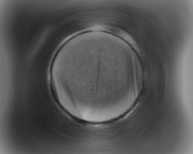 X0000087601428200705251913