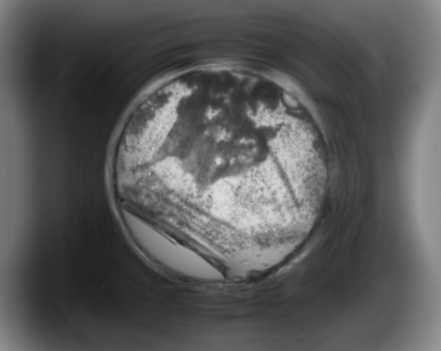 X0000087601429200705251913