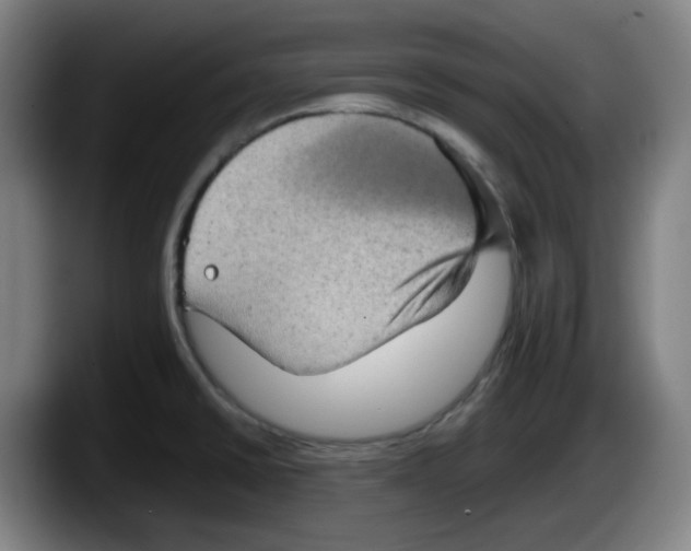 X0000087601430200705251913