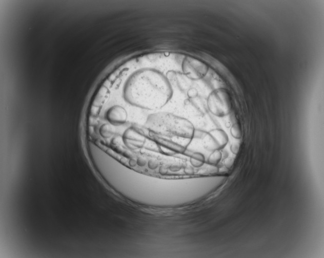 X0000087601432200705251913