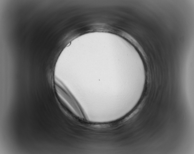 X0000087601433200705251913