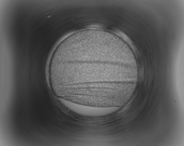 X0000087601435200705251913