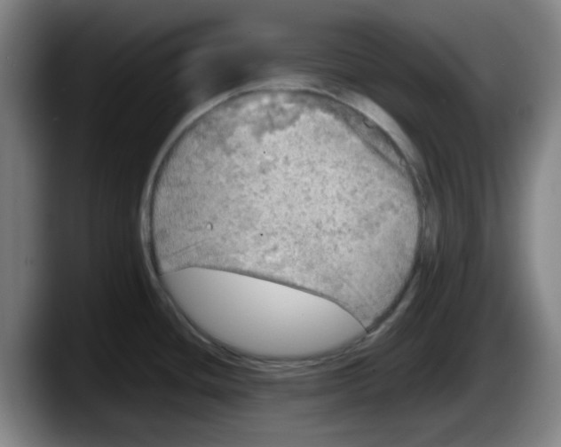 X0000087601436200705251913