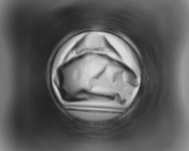 X0000087601437200705251913