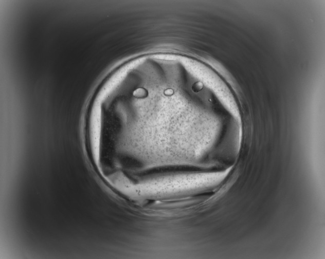 X0000087601438200705251913