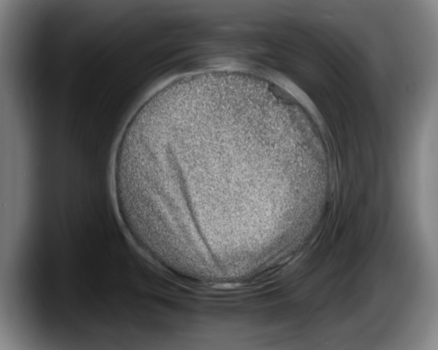 X0000087601439200705251913