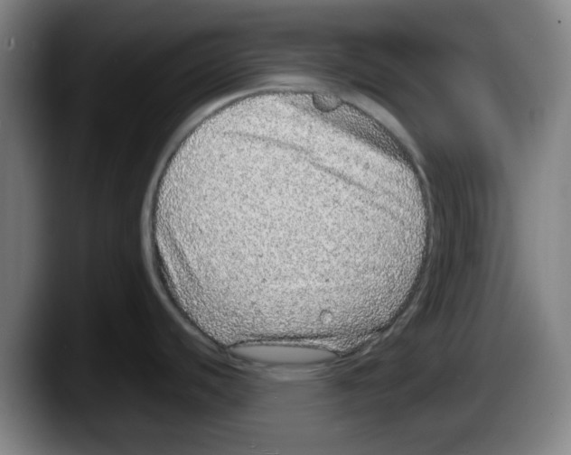 X0000087601440200705251913