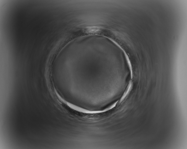 X0000087601441200705251912