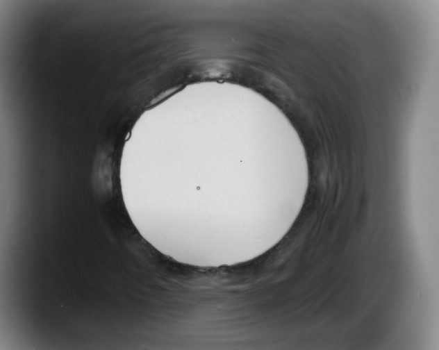 X0000087601442200705251912