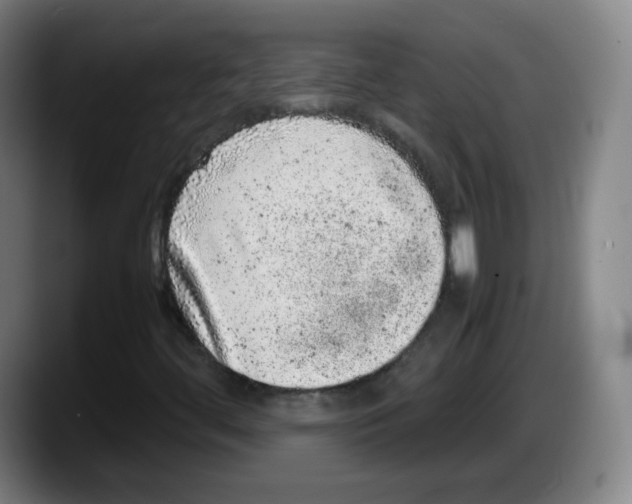 X0000087601444200705251912