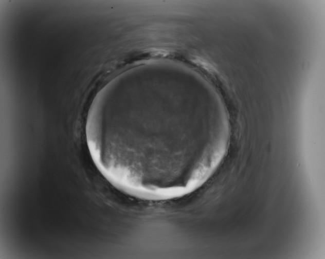 X0000087601445200705251912