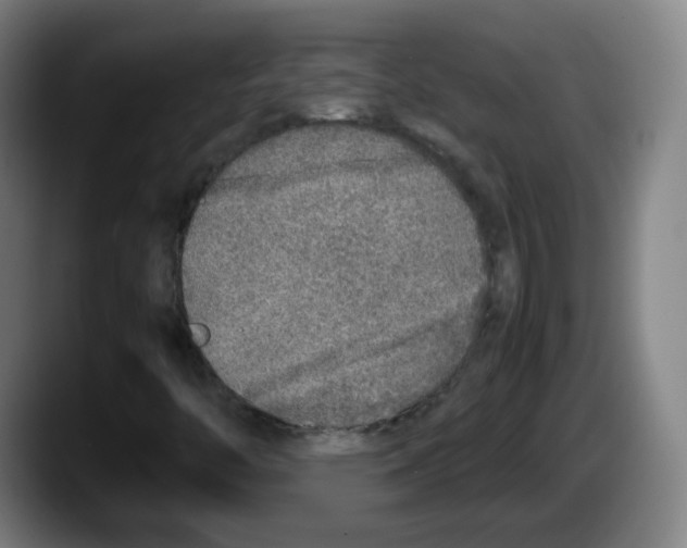 X0000087601446200705251912