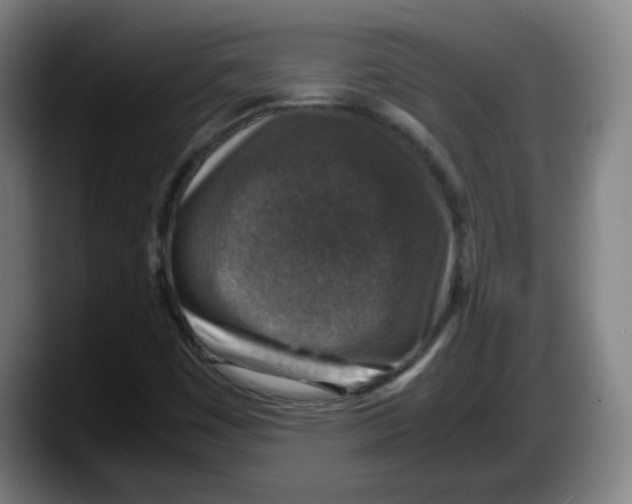 X0000087601449200705251912