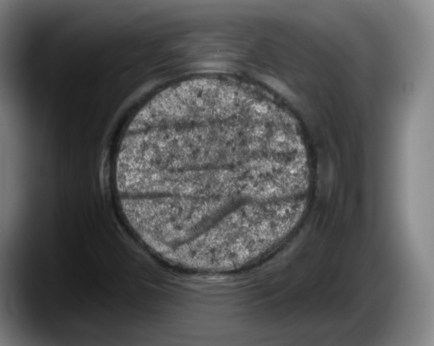 X0000087601450200705251912