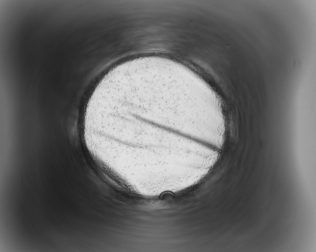 X0000087601452200705251912