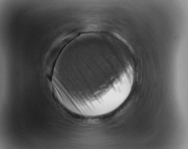 X0000087601453200705251912