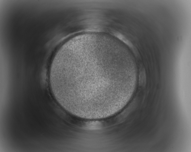 X0000087601454200705251912