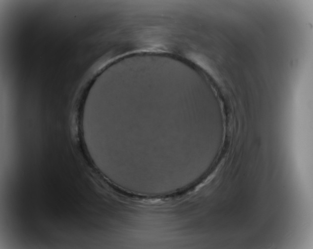 X0000087601455200705251912