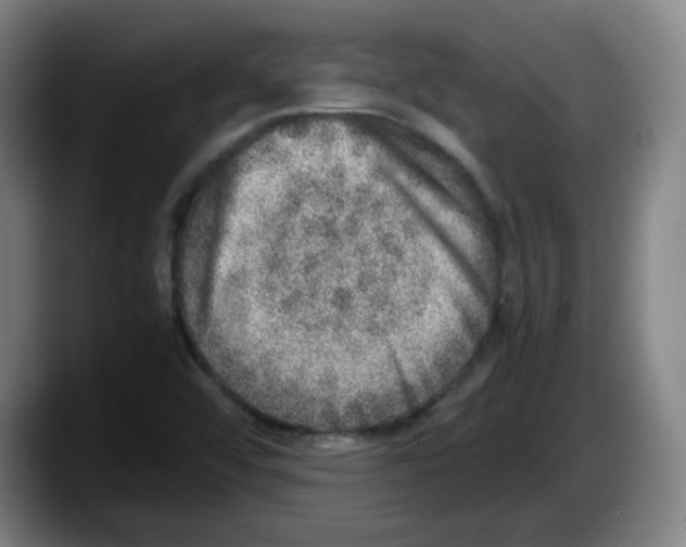 X0000087601456200705251912