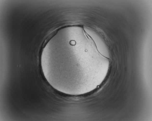 X0000087601457200705251912