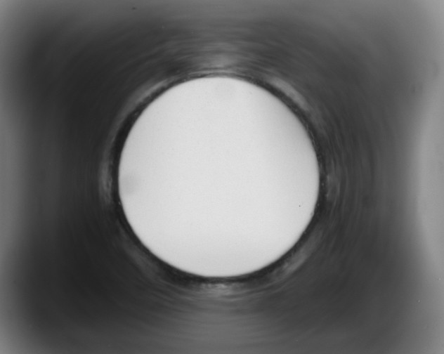 X0000087601458200705251912