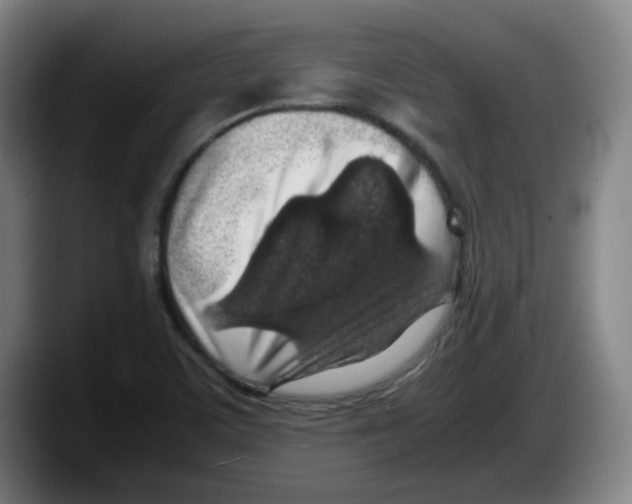 X0000087601459200705251912