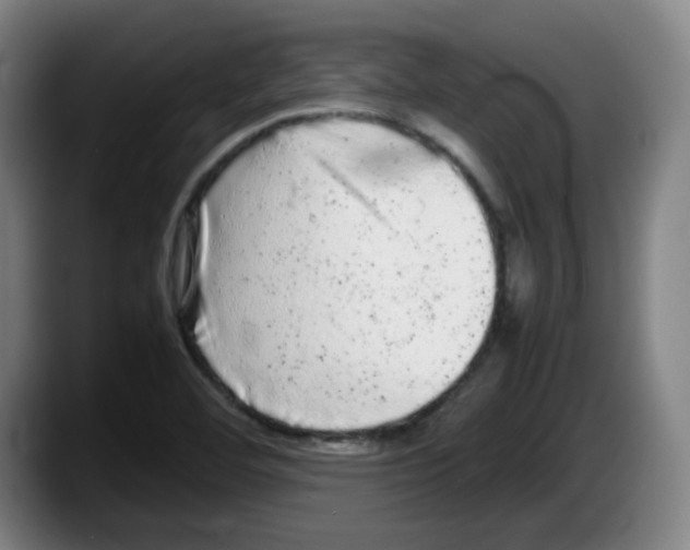 X0000087601460200705251912