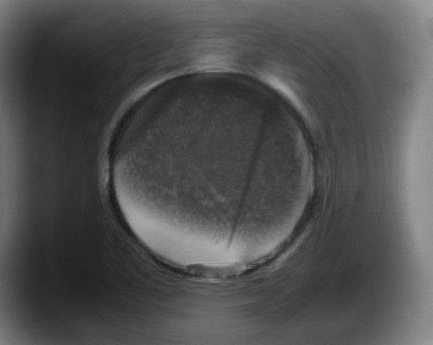 X0000087601461200705251912