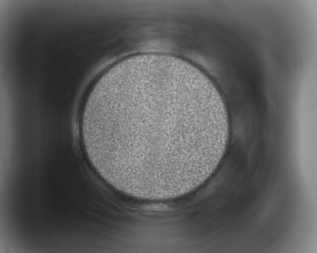 X0000087601462200705251912