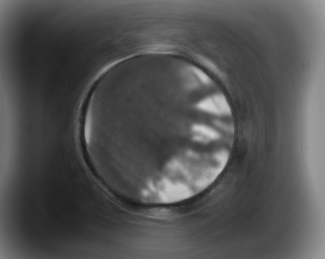 X0000087601463200705251912