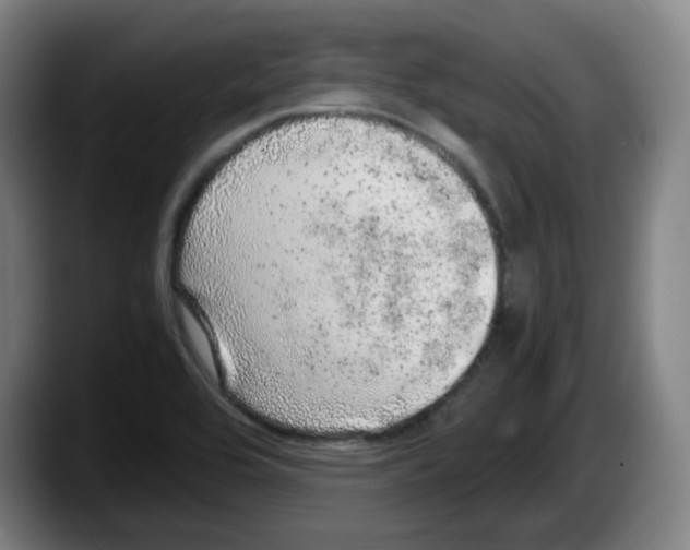 X0000087601464200705251912