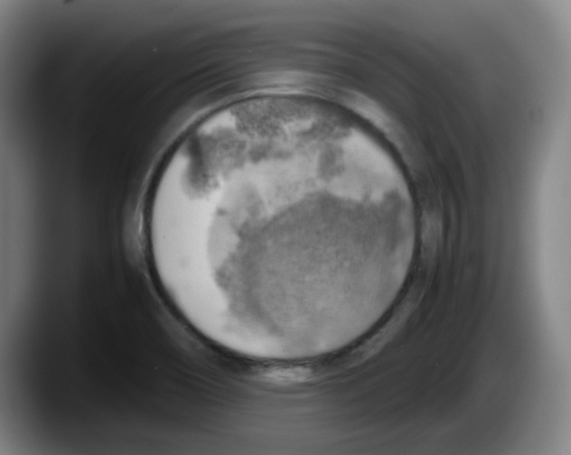 X0000087601466200705251912