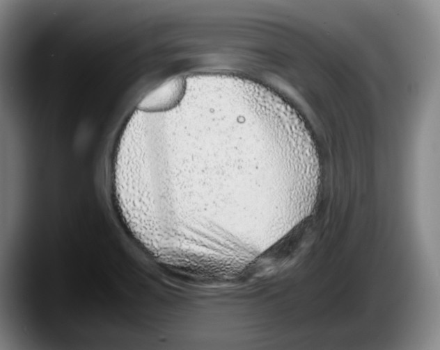 X0000087601467200705251912