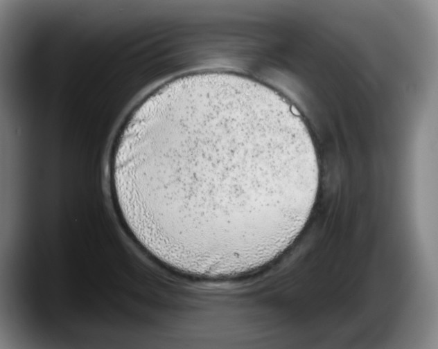 X0000087601468200705251912