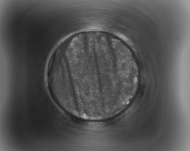 X0000087601469200705251912