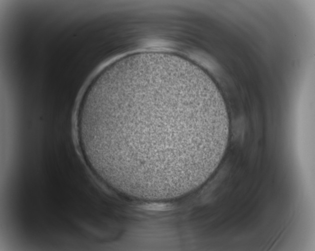 X0000087601470200705251912