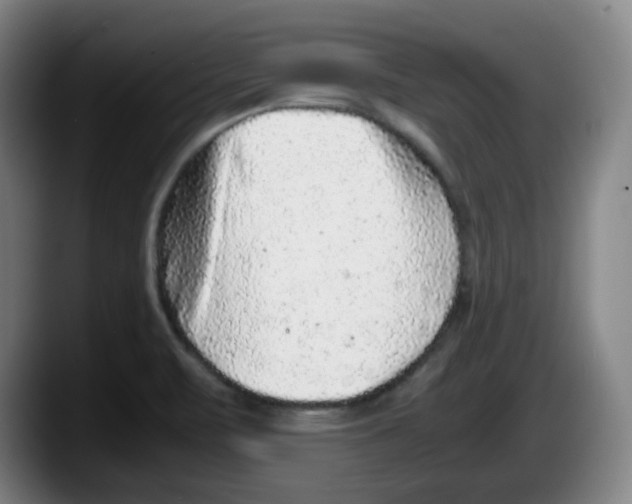 X0000087601471200705251912