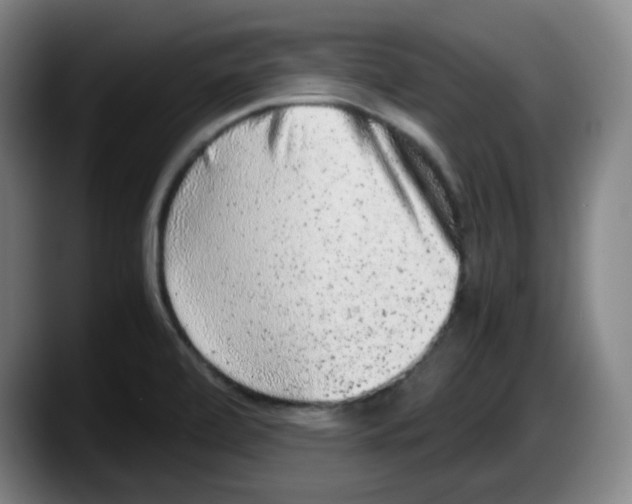 X0000087601472200705251912