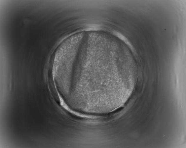 X0000087601473200705251912