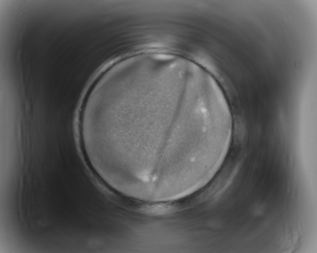 X0000087601474200705251912