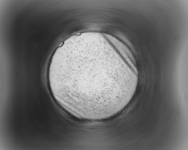 X0000087601475200705251912