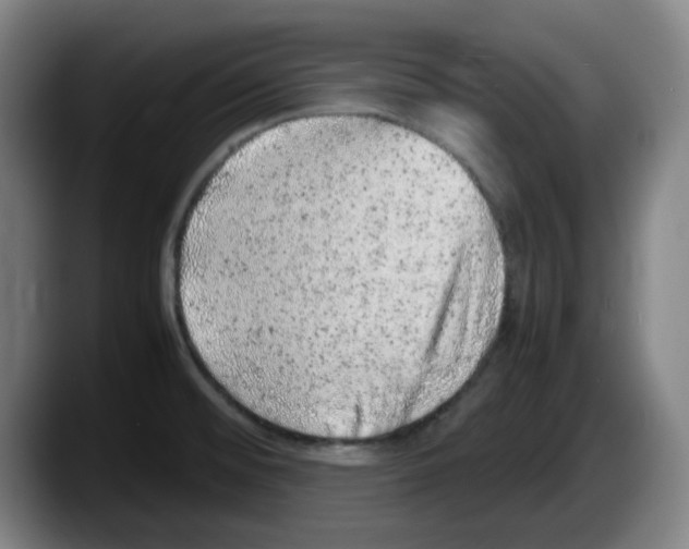 X0000087601476200705251912