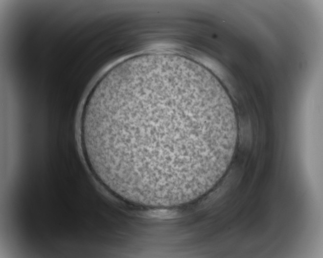 X0000087601478200705251912