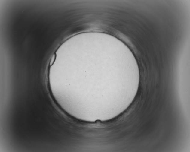 X0000087601479200705251912