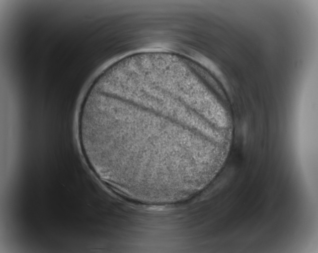 X0000087601480200705251912