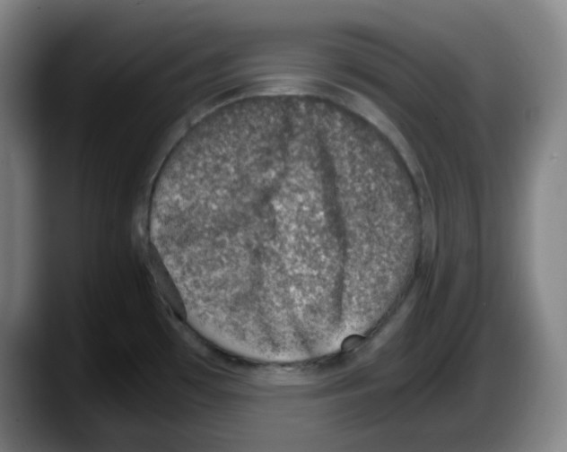 X0000087601481200705251912