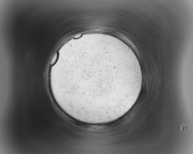 X0000087601483200705251912